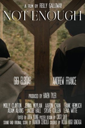 Not Enough (2026) poster
