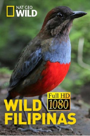 Wild Filipinas (2018) poster