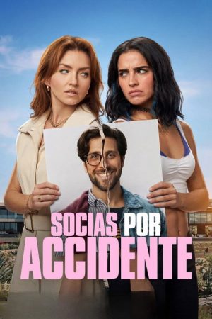 Accidental Partners (2026) — Cast, Story & Where to Watch | MovieLinkBD poster