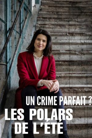 Un crime parfait ? Les polars de l’été (2023) poster