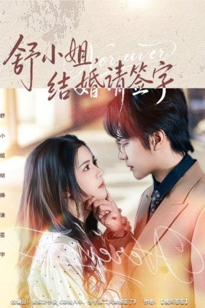 舒小姐，结婚请签字 (2026) poster