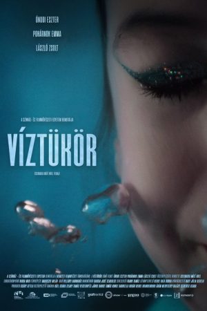 Reflections (2026) poster