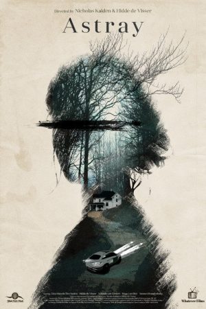 Astray (2025) poster
