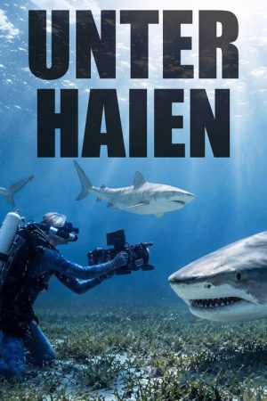 Among Sharks (2026) poster
