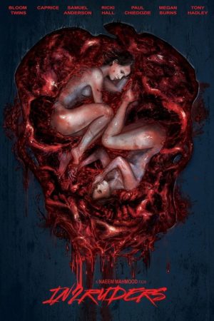 In2ruders (2018) poster