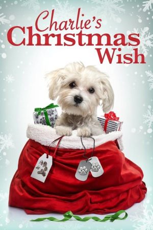 Charlie’s Christmas Wish (2020) poster