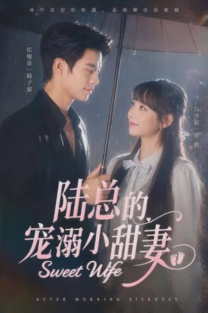 陆总的宠溺小甜妻 (2026) poster