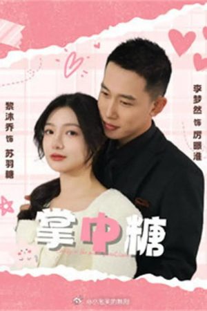 掌中糖 (2025) poster