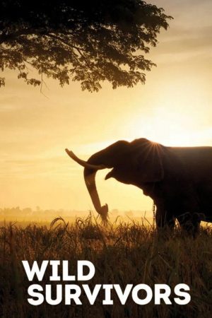 Wild Survivors (2017) poster