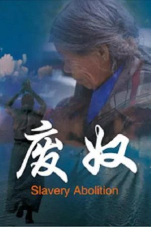 废奴 (2016) poster