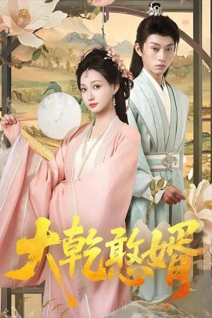 大乾憨婿 (2025) poster