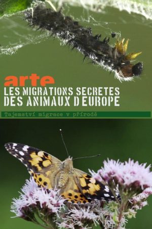 Secret Migrations (2018) poster