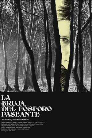 The Wandering Witch (2018) poster