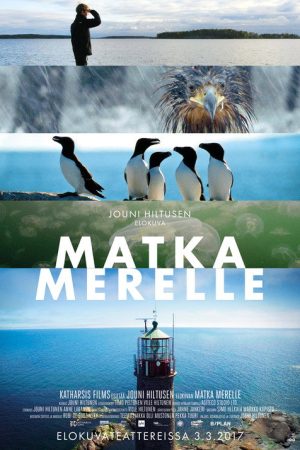 The Gulf of Finland (2017) poster