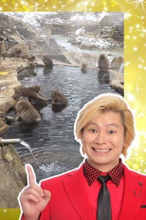 個人で持つのは大変です!城 国宝 こんな凄いモノ持ってますSP (2021) poster