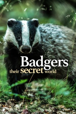 Badgers: Their Secret World (2023) poster