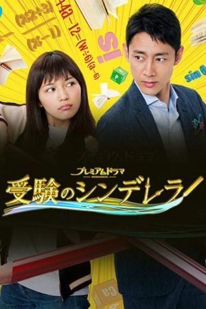 Cinderella Formula (2016) poster