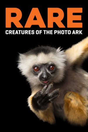 Rare: Creatures of the Photo Ark (2017) poster