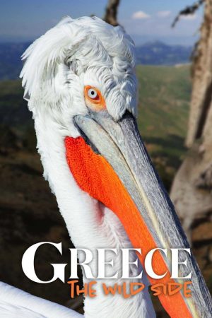 Greece – The Wild Side (2020) poster
