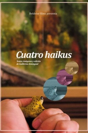 Four Haikus (2024) poster