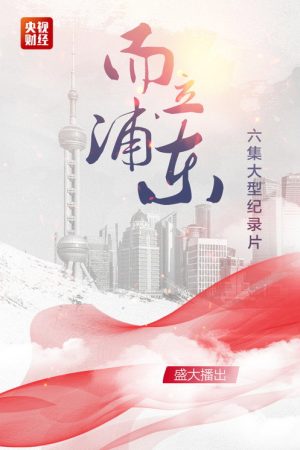 而立浦东 (2020) poster