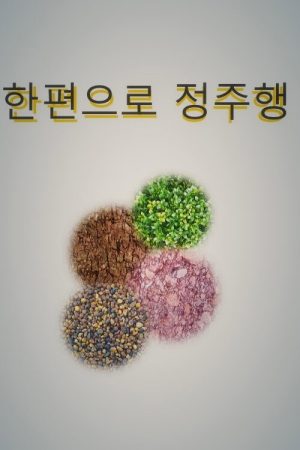 한편으로 정주행 (2017) poster
