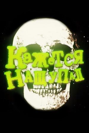 Кажется, нащупал (2017) poster