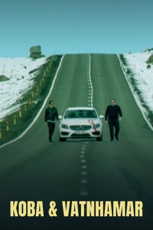 Koba & Vatnhamar (2016) poster