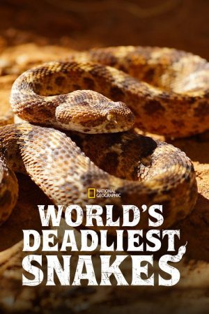 World’s Deadliest Snakes (2020) poster