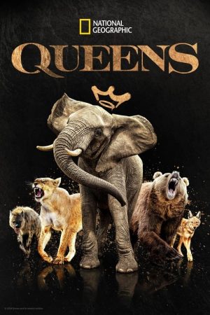 Queens (2024) poster