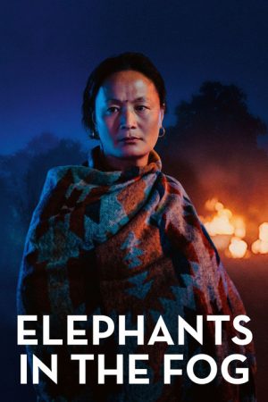Elephants in the Fog (2026) poster
