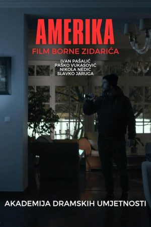 America (2020) poster