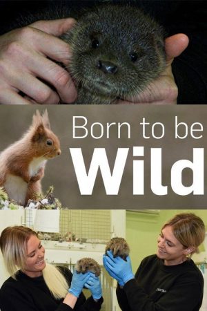 Born to Be Wild (2019) poster