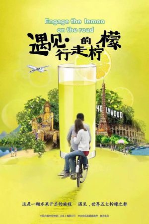 遇见行走的柠檬 (2017) poster