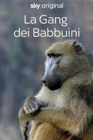 Gangs of Baboon Falls (2023) poster