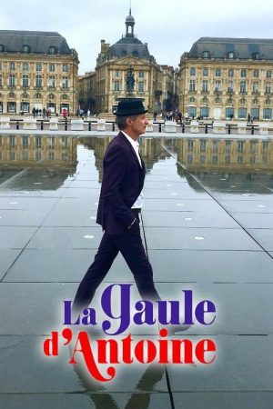 La Gaule d’Antoine (2017) poster