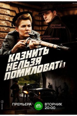 Казнить нельзя помиловать (2017) poster
