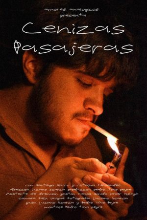 Cenizas pasajeras (2024) poster