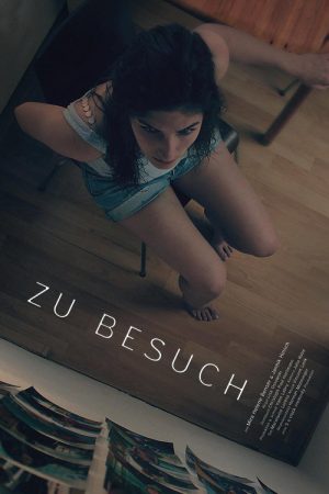Visiting (2016) poster