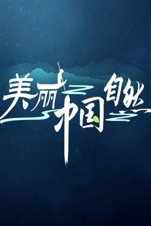 Amazing China (2018) poster