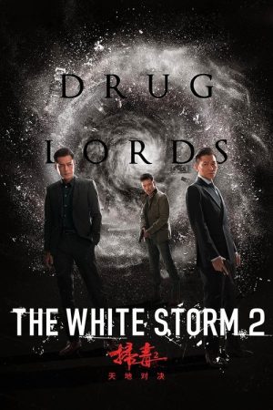 The White Storm 2: Drug Lords (2019) poster