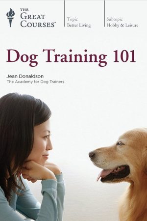 Dog Training 101 (2018) poster