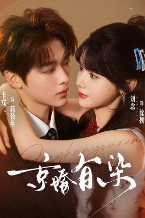 京婚有染 (2026) poster