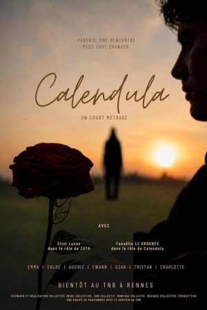 Calendula (2026) poster