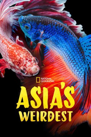 Asia’s Weirdest (2021) poster