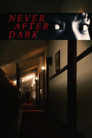Never After Dark (2026) poster