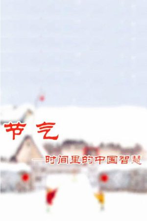 节气——时间里的中国智慧 (2017) poster