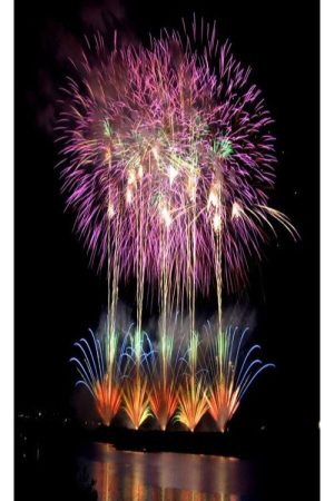 夜空に輝く希望の大花火～諏訪湖・長岡・伊勢 真夏の祭典 (2021) poster