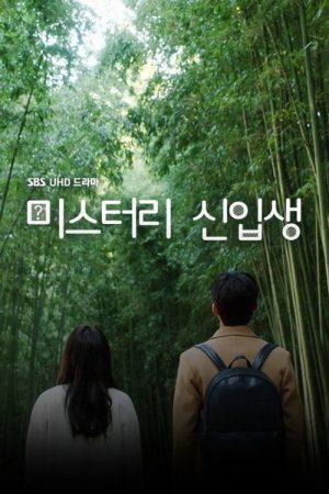 Mystery Freshman (2016) poster