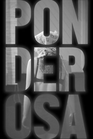 Ponderosa (2019) poster
